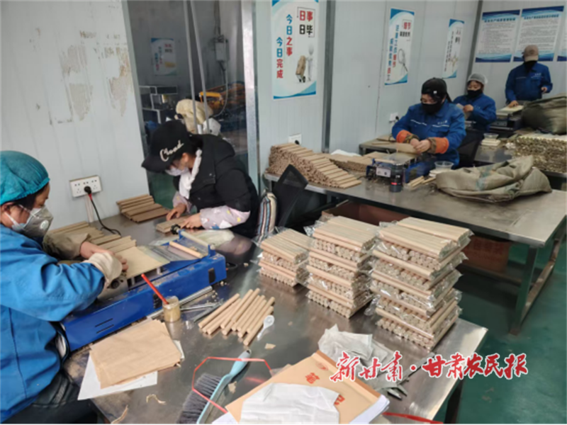 秦州区齐寿镇：艾草“金钥匙”开启乡村振兴“致富门”