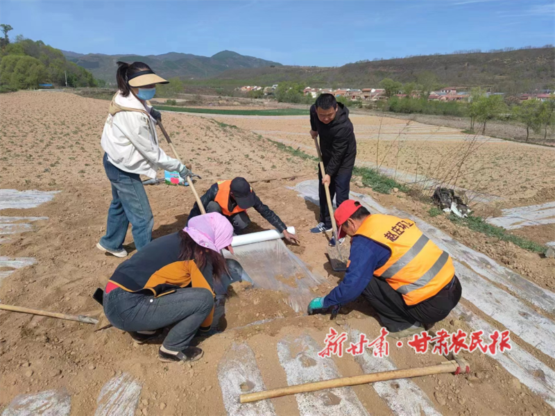 华亭：“土专家” 田间 “把脉”，科技兴农铺就富民路