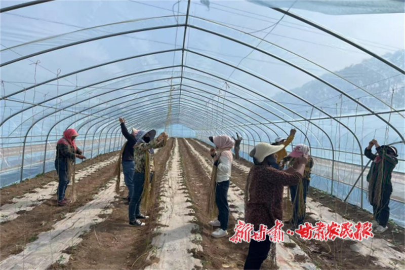 华亭：门口务工得实惠 群众增收有保障