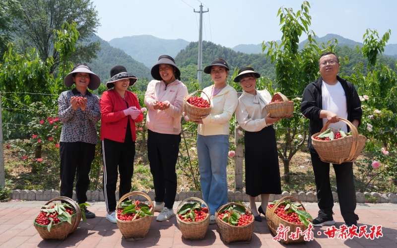 康县王坝镇：车厘子映红乡村振兴路