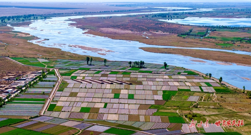 美丽的初夏田园画卷