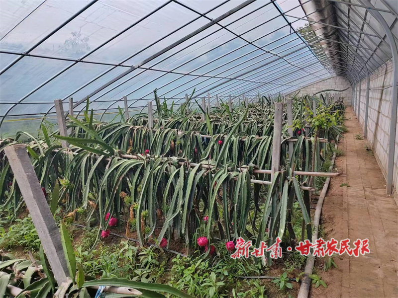 华亭：村美民富幸福来