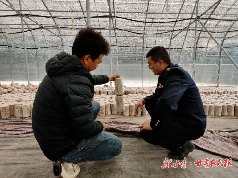 包永龙的&ldquo;小菌棒&rdquo;和税务的故事