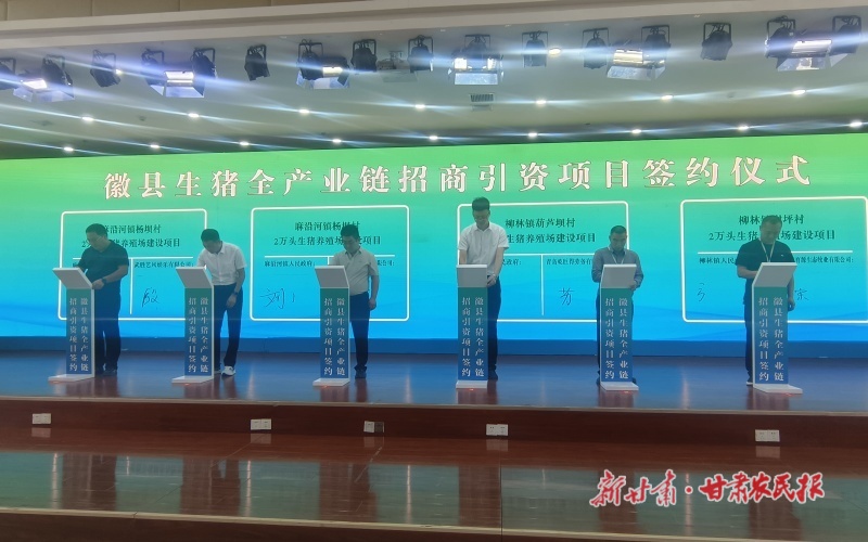 徽县：节会&ldquo;搭台&rdquo; 演绎生猪产业高质量发展新篇章