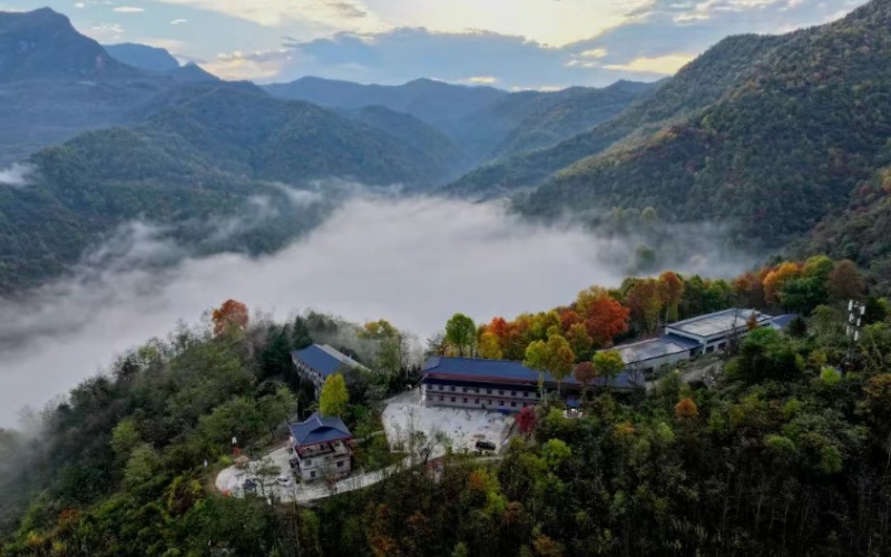 两当&ldquo;森&rdquo;呼吸，康养&ldquo;慢&rdquo;生活