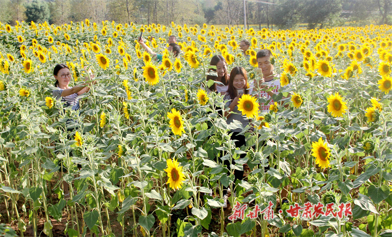 华亭：&ldquo;工业样板市&rdquo;的&ldquo;绿色答卷&rdquo;