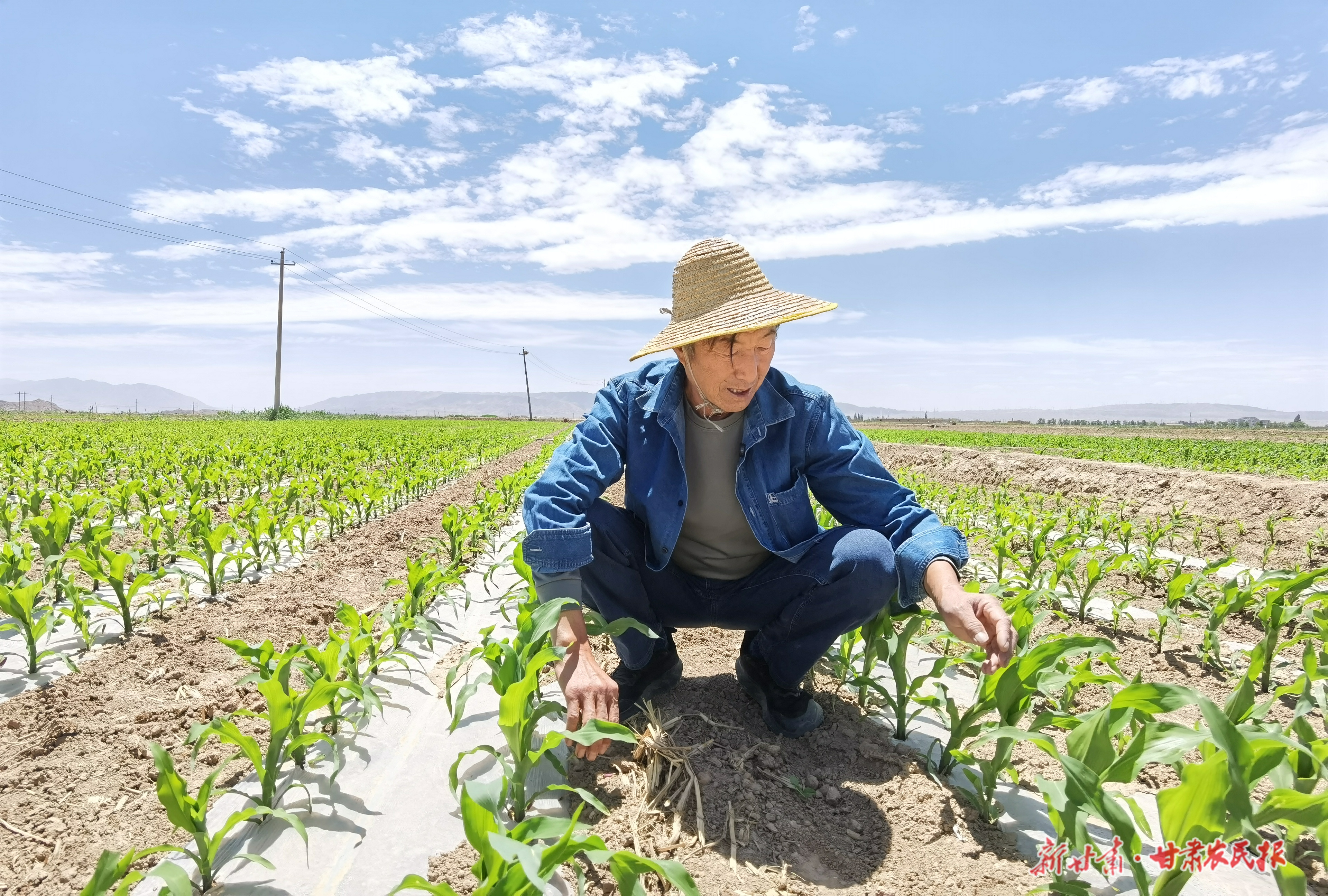 景泰：盐碱荒滩&ldquo;逆袭记&rdquo;