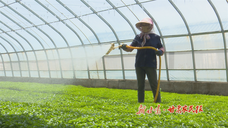 华亭：聚&ldquo;椒&rdquo;招商 奏响乡村振兴&ldquo;椒&rdquo;响曲