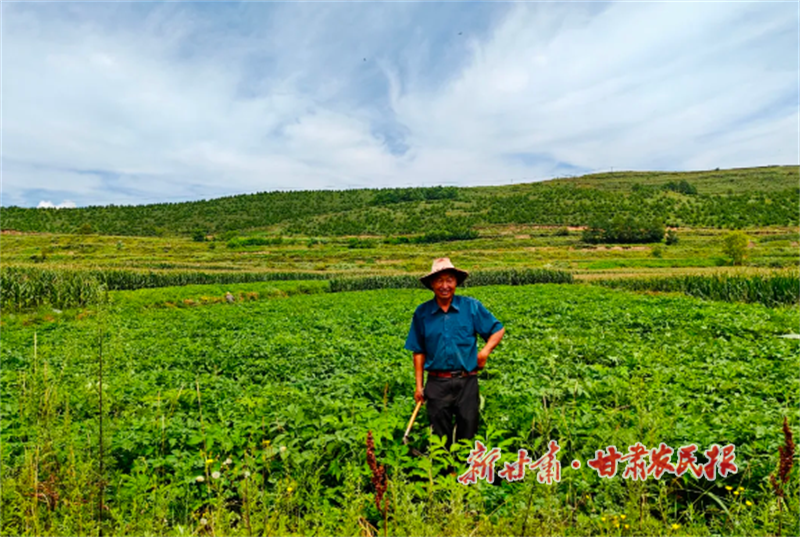 华亭：从&ldquo;千年药乡&rdquo;到&ldquo;智慧药谷&rdquo;的破圈实践
