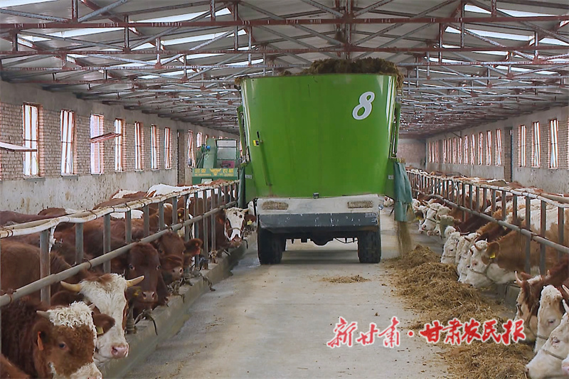 华亭：全链升级奏响乡村振兴&ldquo;牧歌&rdquo;