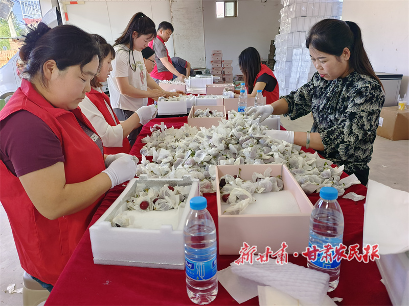 电商助力 秦州大樱桃跑出新鲜&ldquo;加速度&rdquo;