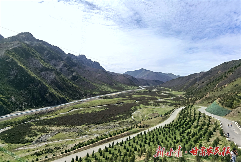 向&ldquo;绿&rdquo;而行唱响生态文明&ldquo;协奏曲&rdquo;