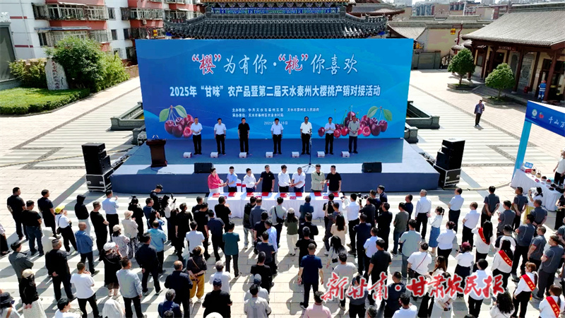 “樱”为有你·“桃”你喜欢 秦州大樱桃迈向全国市场