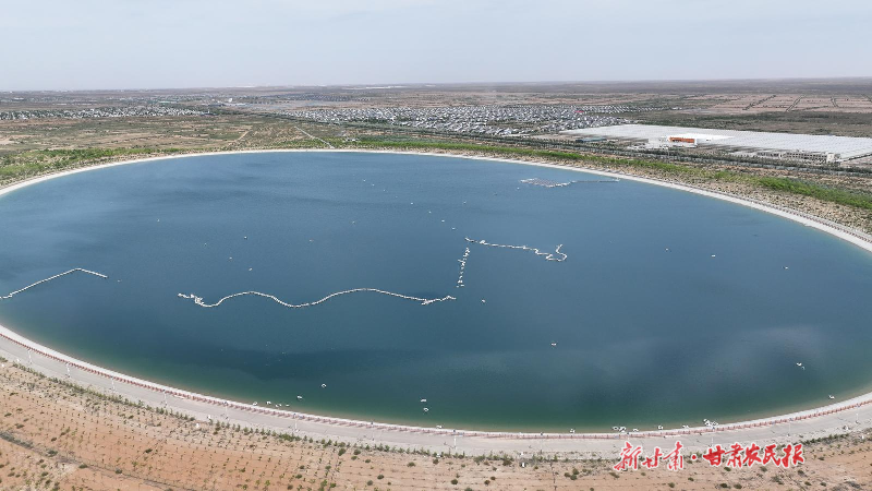 古浪县多措并举保夏灌