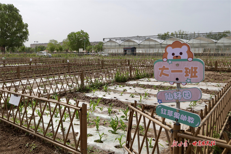 崆峒：方寸地变身“共享菜园”富农家