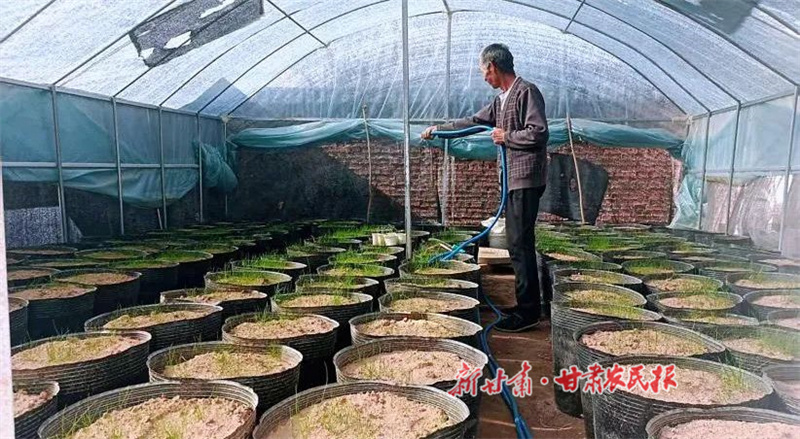 华亭：方寸土地间的&ldquo;致富密码&rdquo;