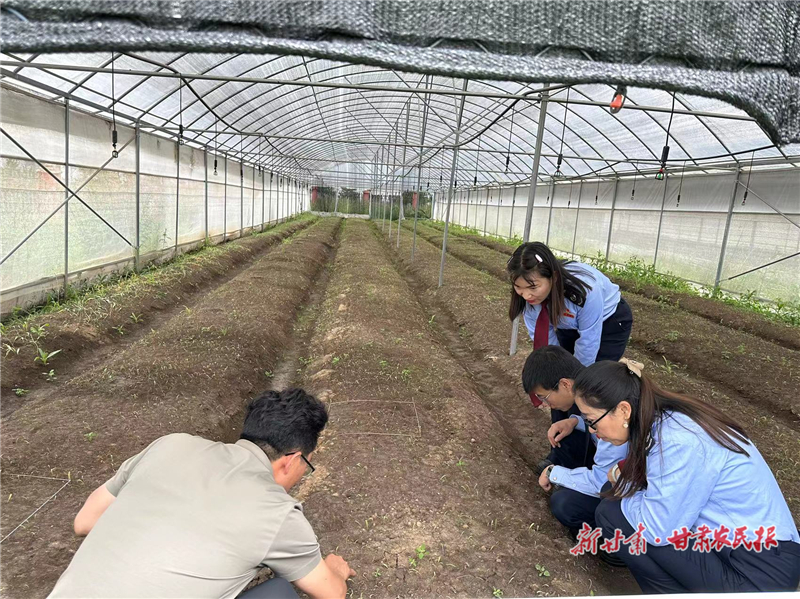 合作税务：税慧赋能 高原&ldquo;藏药&rdquo;产业绽放新动能