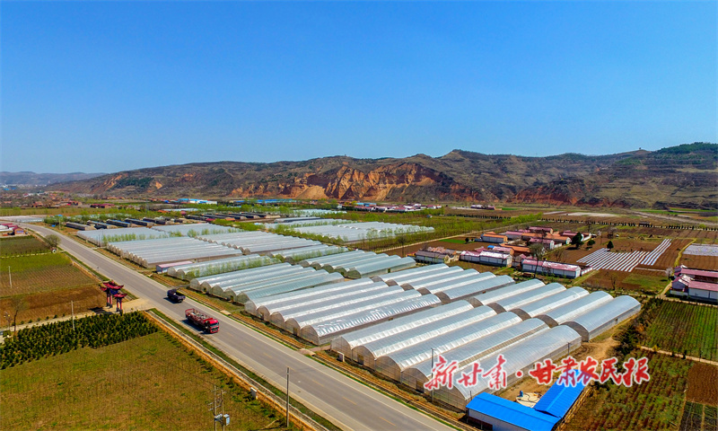 华亭：时光正好，项目建设正当时