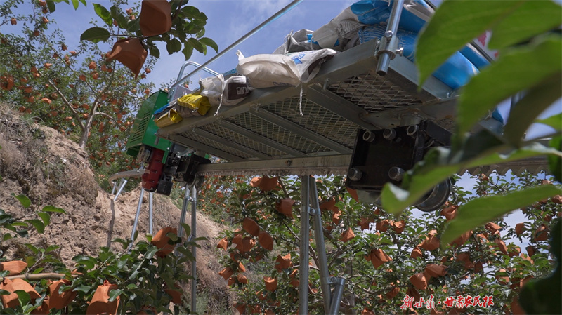 静宁：苹果搭上“科技快车”出山