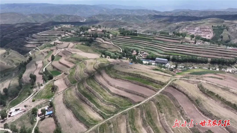 天祝：探索产业富民新路径