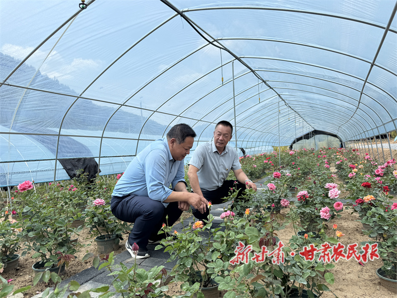 秦州区：党建联建 “联”出乡村振兴新气象