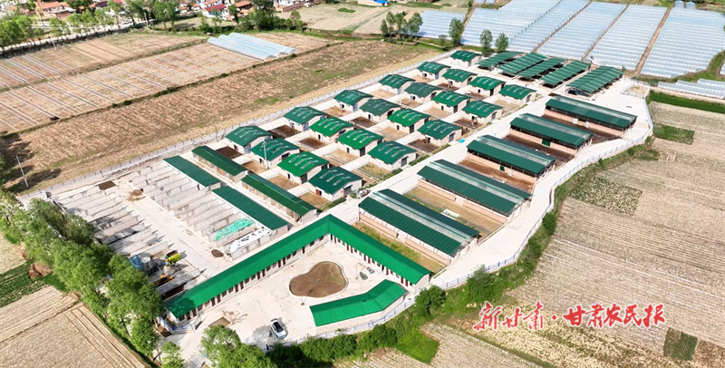 华亭：肉牛养殖拓富路 产业致富有“犇”头