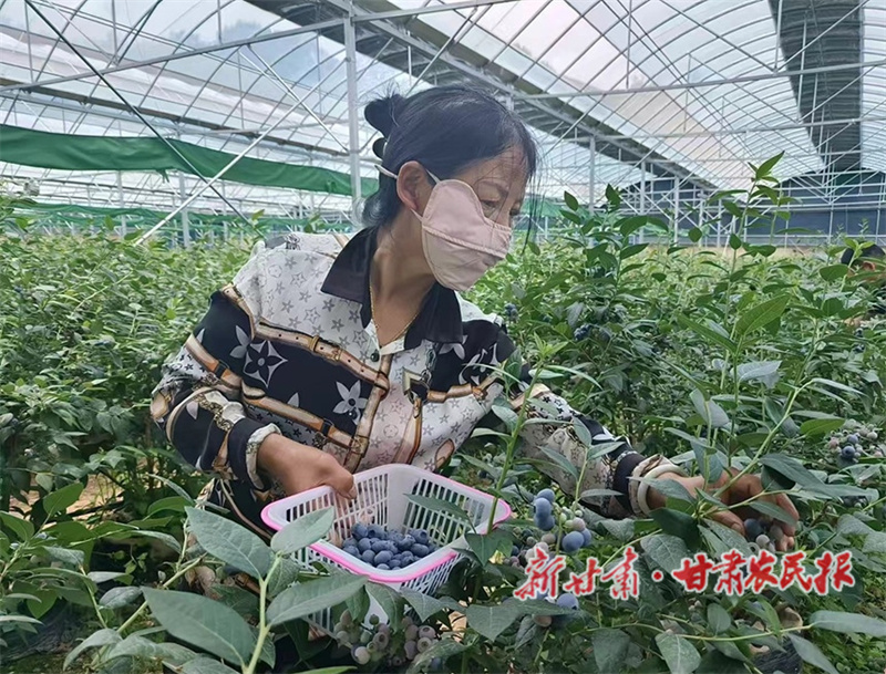 秦州区：探路“四美融合” 绘就乡村新画卷