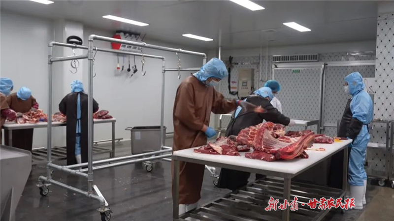 天祝：特色产业绘就高质量发展好“丰”景