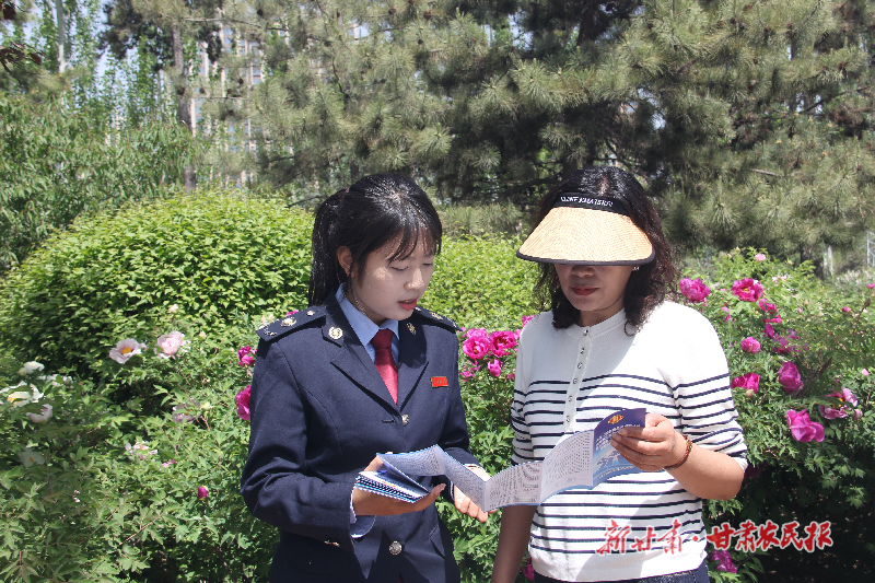 临夏市税务局：税惠滴灌添花香 精细服务助绽放