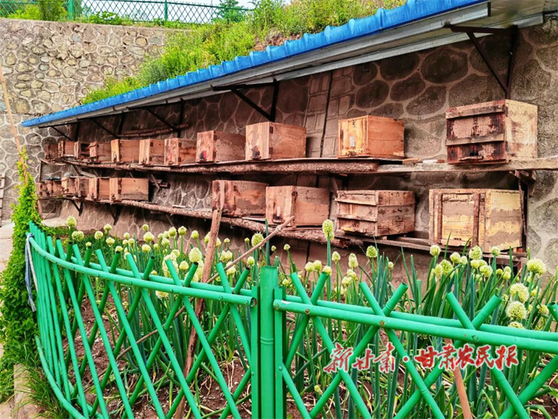 华亭：方寸庭院变“聚宝盆”