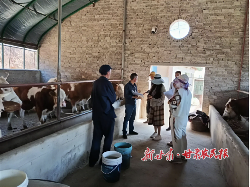 华亭：乡音传党音，政策润民心