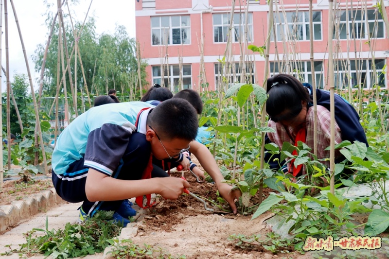 清水 “五育融合”新苗秀