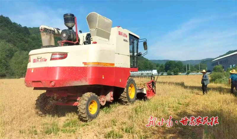 华亭：抢收小麦 奏响丰收乐章