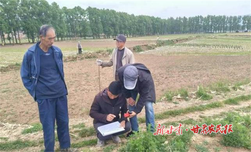 华亭：药材补助“及时雨” 滋润田间“致富方”