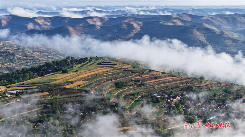 【图片新闻】宛如仙境！初见雨后的庄浪梯田