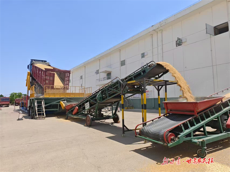 崆峒区：颗粒归仓保民生