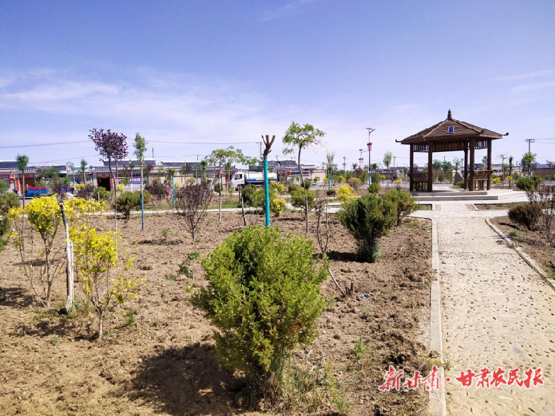 凉州：广袤乡村展新颜 和美乡村入画来