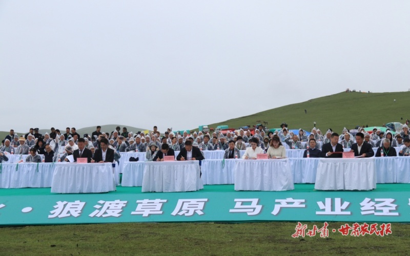 岷县：&ldquo;军马文化&middot;狼渡草原&rdquo;经贸交流会开幕