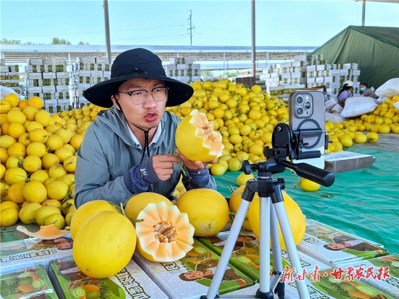 直播间里订单滚滚！民勤蜜瓜“触网攀云”破圈出陇