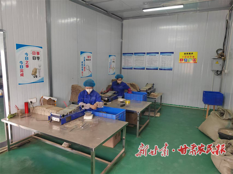 秦州区：绘就和美画卷 唱响振兴强音