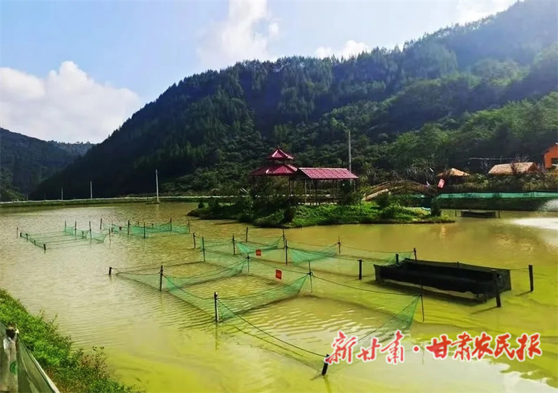 秦州区：党建引领生态赋能走出乡村致富路

