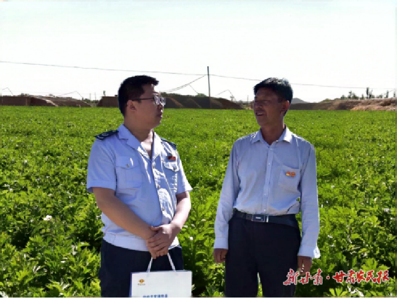 武威：供港蔬菜基地里的合规&ldquo;税&rdquo;密码