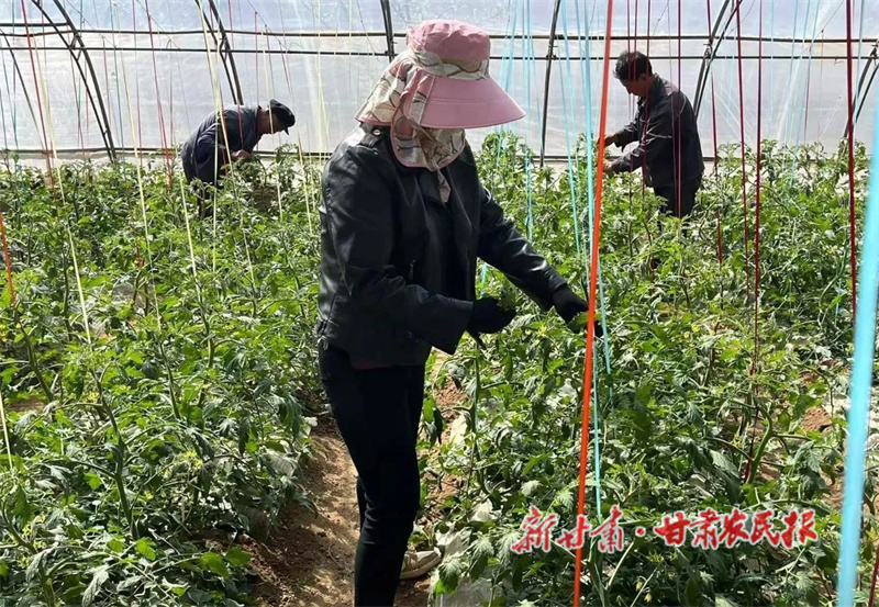 华亭：红果子映红好日子 