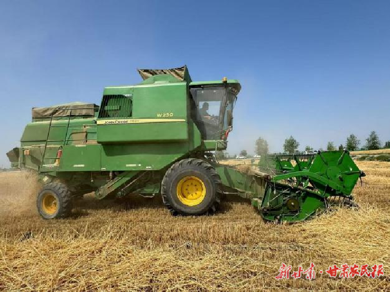 凉州：机声轰鸣奏丰年 麦香盈仓惠民生