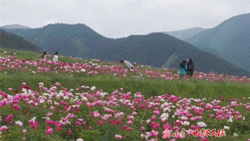 天祝：祁连山下产业兴