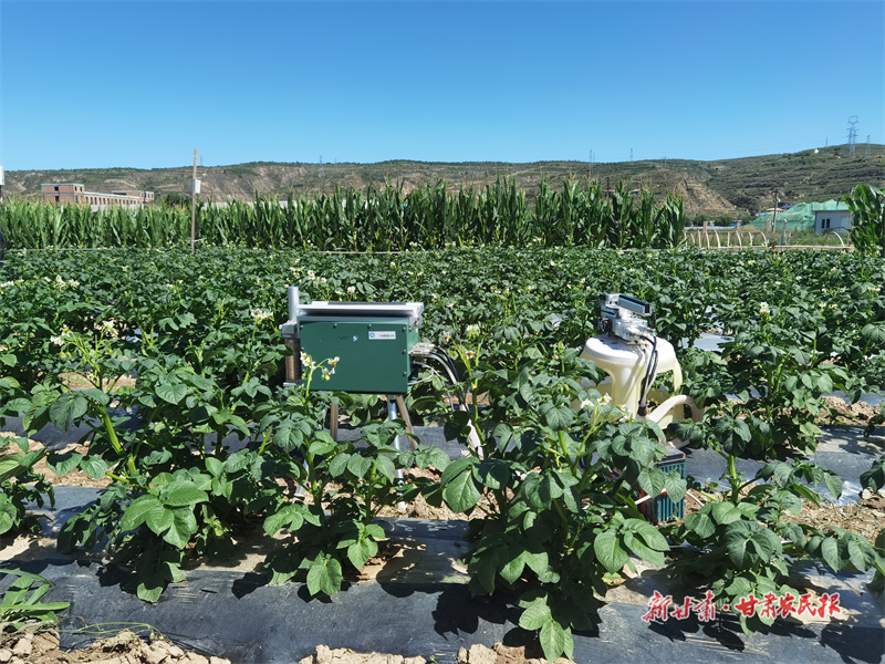 气象科技赋“薯光”