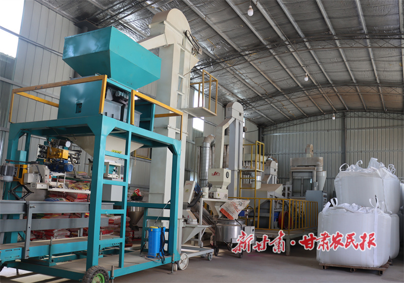 清水县：种储加工蓄力待发 构建小麦全产业链条