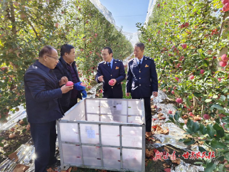 庆阳：税惠&ldquo;甘露&rdquo;润瓜果 助农增收&ldquo;甜&rdquo;心间