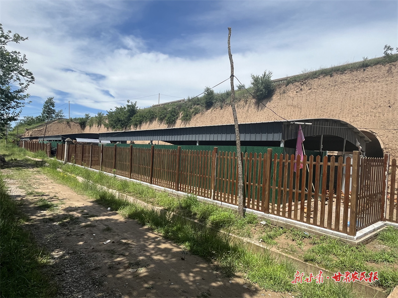 灵台星火乡：&ldquo;5+N&rdquo;推动村集体经济驶入快车道