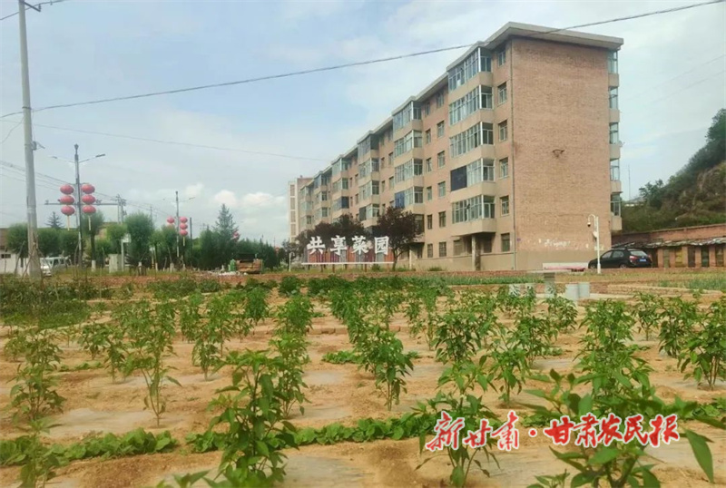 华亭：“共享菜园”幸福共享